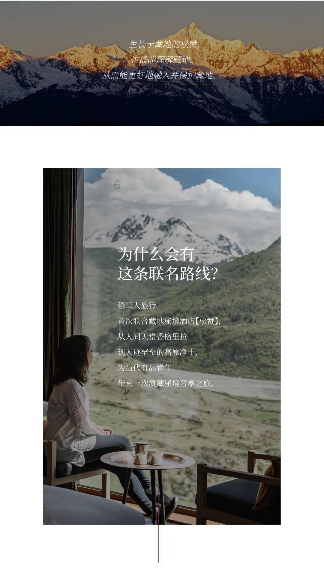植物大战僵尸21